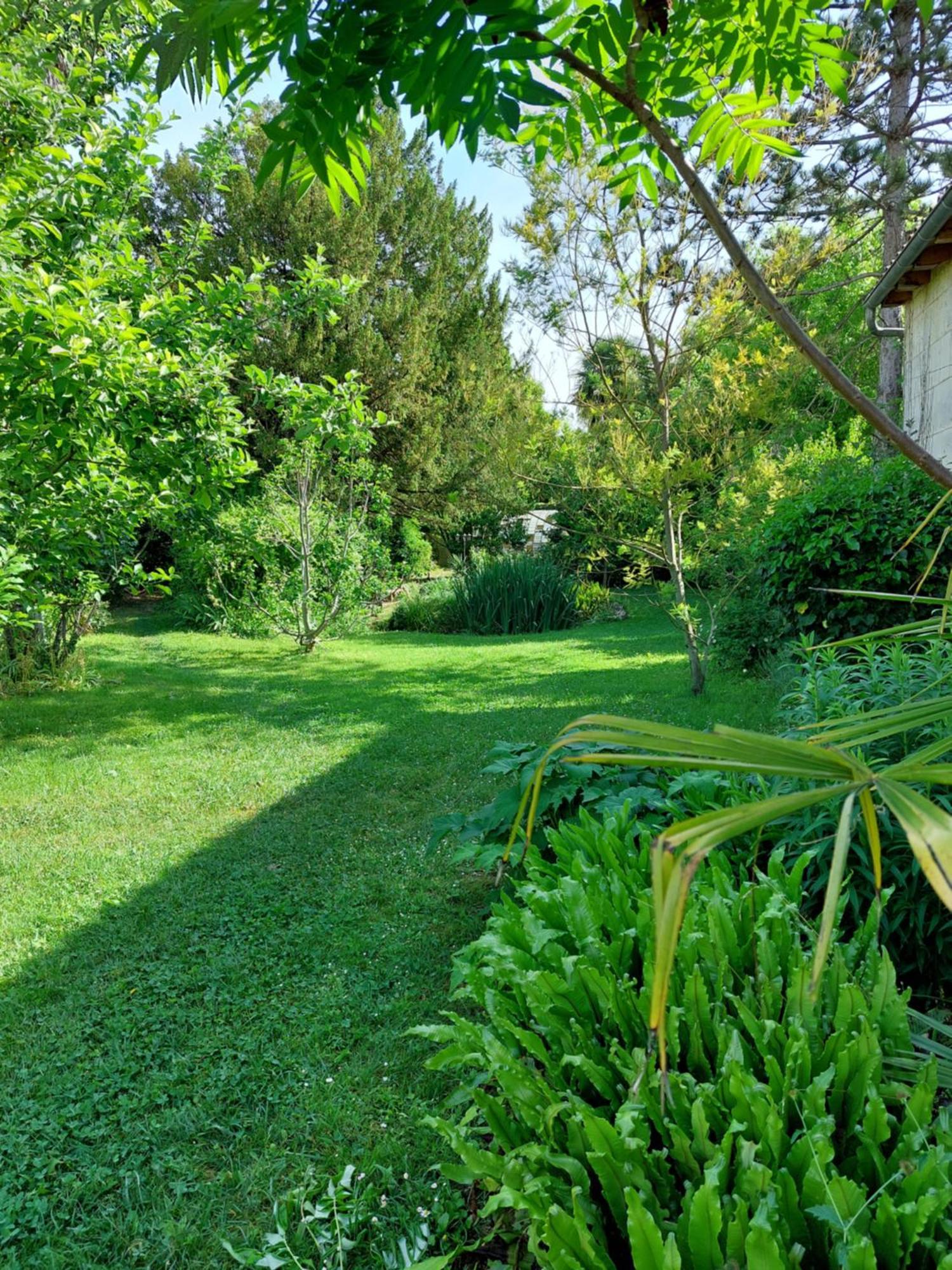 Bed and Breakfast La Gueriniere Bella Romantica Chateauneuf-sur-Charente Екстер'єр фото